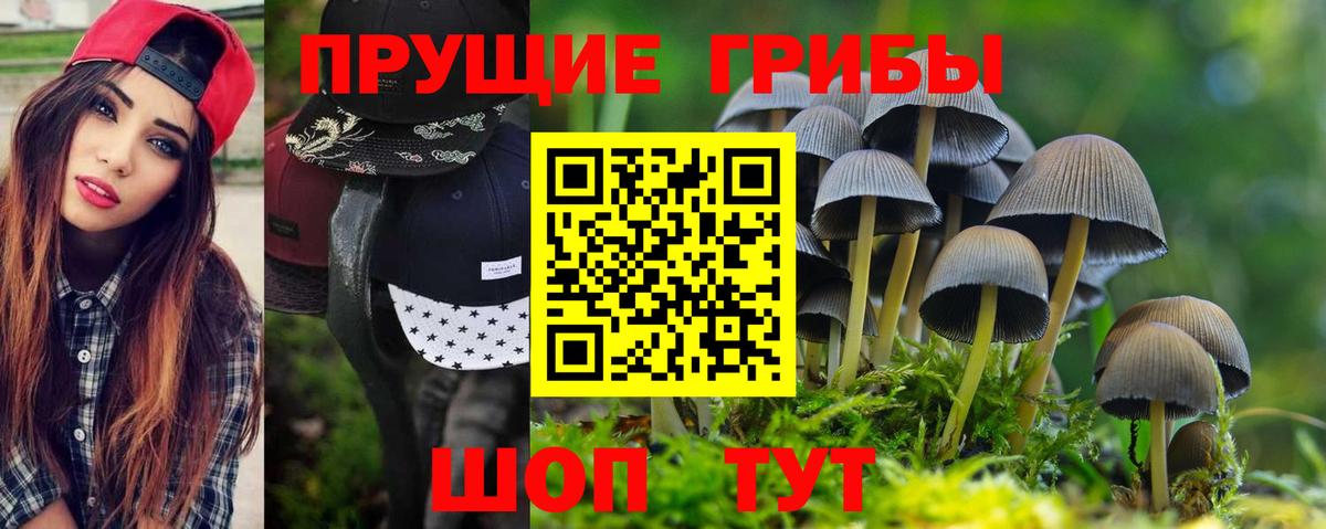Советский  Галлюциногенные грибы Psilocybe  Вход с VPN  Галлюциногенные грибы Magic Shrooms 