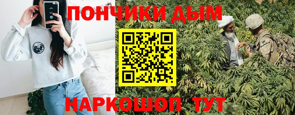 Шишки марихуана сатива Советский